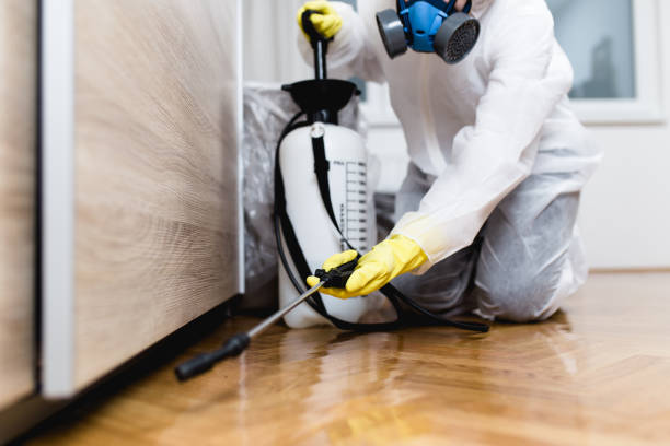 Best Pest Inspection Near Me  in New Miami, OH