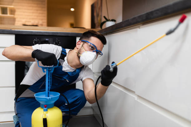 Best Pest Removal Services  in New Miami, OH