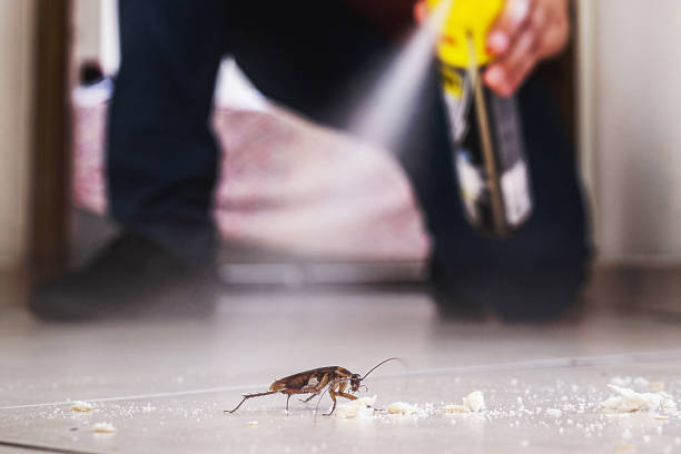 Best Mosquito Control Services  in New Miami, OH