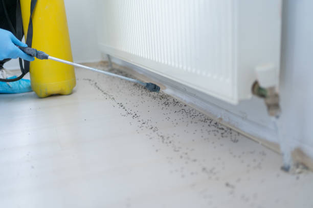 Best Pest Control for Businesses  in New Miami, OH