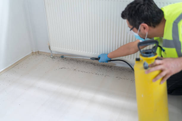 Best Local Pest Control Services  in New Miami, OH